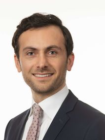 Portrait von Dr. Giga Gabrichidze, LL.M Portrait von Dr. Giga Gabrichidze, LL.M