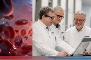 Broschüre für Stammzelltransplantation und Zelltherapie, Prof. Dr. med. Carsten Müller-Tidow, Prof. Dr. med. Peter Dreger und Prof. Dr. med. Michael Schmitt sind auf dem Cover im Gespräch miteinander abgebildet. 