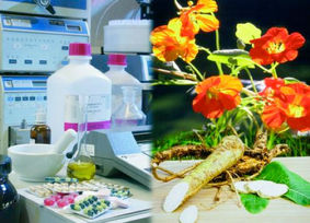 Phytomedizin – Traditionelles Wissen modern genutzt Phytomedizin – Traditionelles Wissen modern genutzt