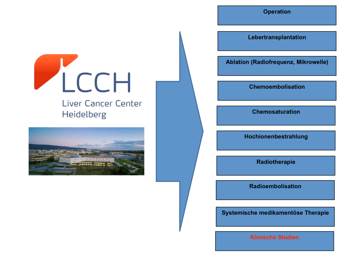 Grafik Behandlungsspektrum LCCH