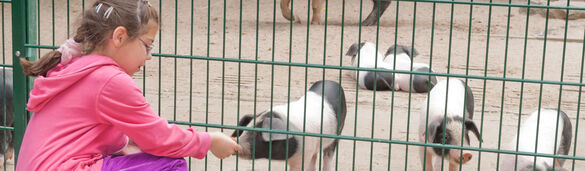 [Translate to English:] Heidelberg Zoo