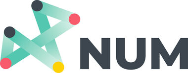 Logo Nationaler Forschungsverbund „Netzwerk Universitätsmedizin“