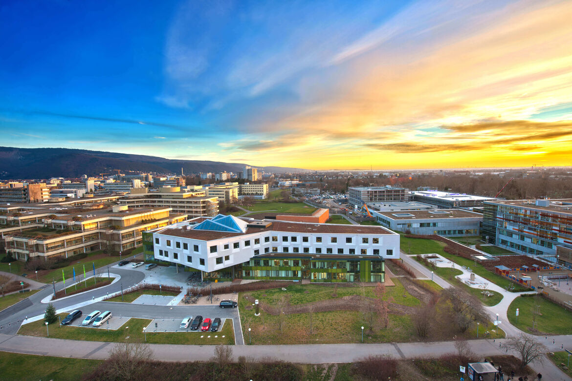 Nationales Centrum für Tumorerkrankungen