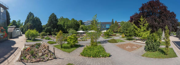 Heidelberg Botanical Garden