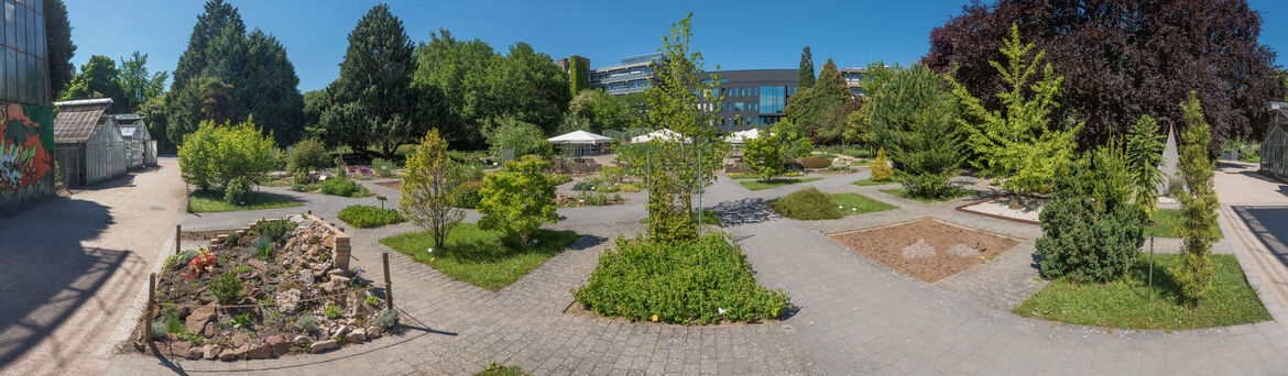 Botanischer Garten Heidelberg Botanischer Garten Heidelberg