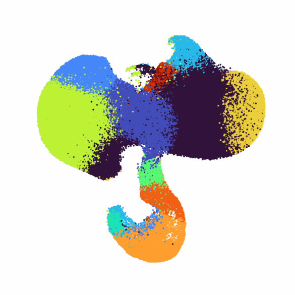 Video UMAP to Spatial