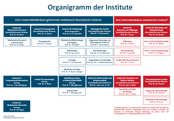 Organigramm Institute