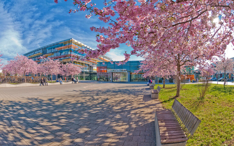 [Translate to English:] Kinderklinik unter blauem Himmel mit weißen Wolken im Hintergrund, Platz vor Kinderklinik im Vordergrund mit einem Kirschbaum voller rosa Blüten rechts im Bild 