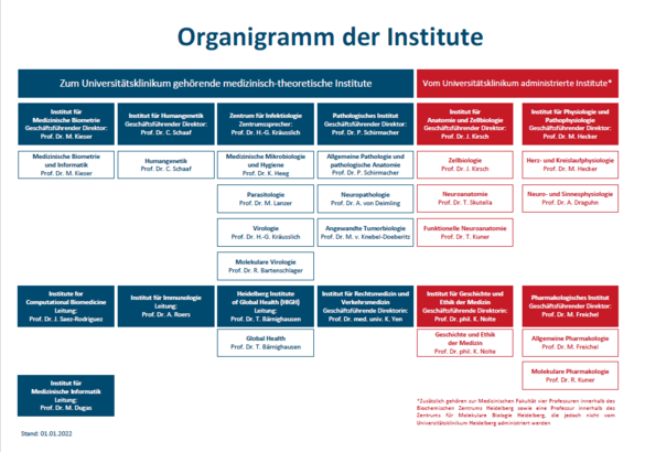 Organigramm Institute