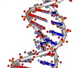 Gentests und Krebs Gentests und Krebs