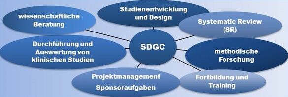 Gezeigt wird ein Schaubild, dass die Aktivitäten beziehungsweise das Leistungsspektrum des SDGC veranschaulicht. Hierzu gehören: 1. Studienentwicklung und Design, 2. Systematic Reviews, 3. Methodische Forschung, 4. Fortbildung und Training, 5. Projektmanagement und Sponsoraufgaben, 6. Durchführung und Auswertung von klinischen Studien, 7. Wissenschaftliche Beratung