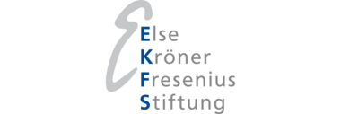 Logo EKFS