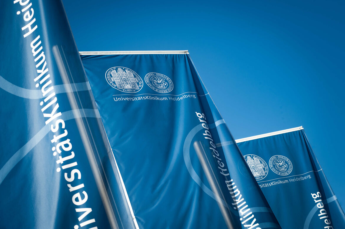 Töchter und Beteiligungen des UKHD
