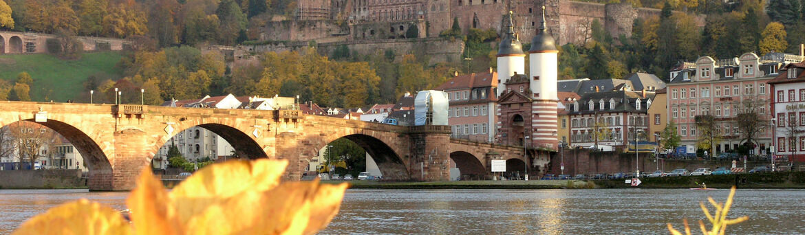 Neckar riverbank Heidelberg