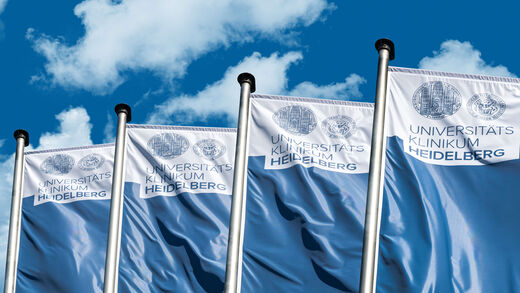 Töchter und Beteiligungen des UKHD