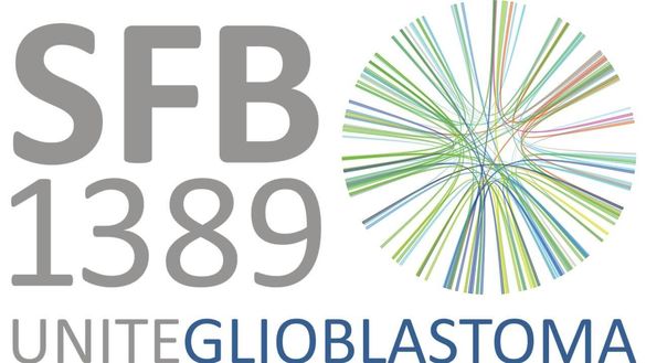 Logo SFB 1389