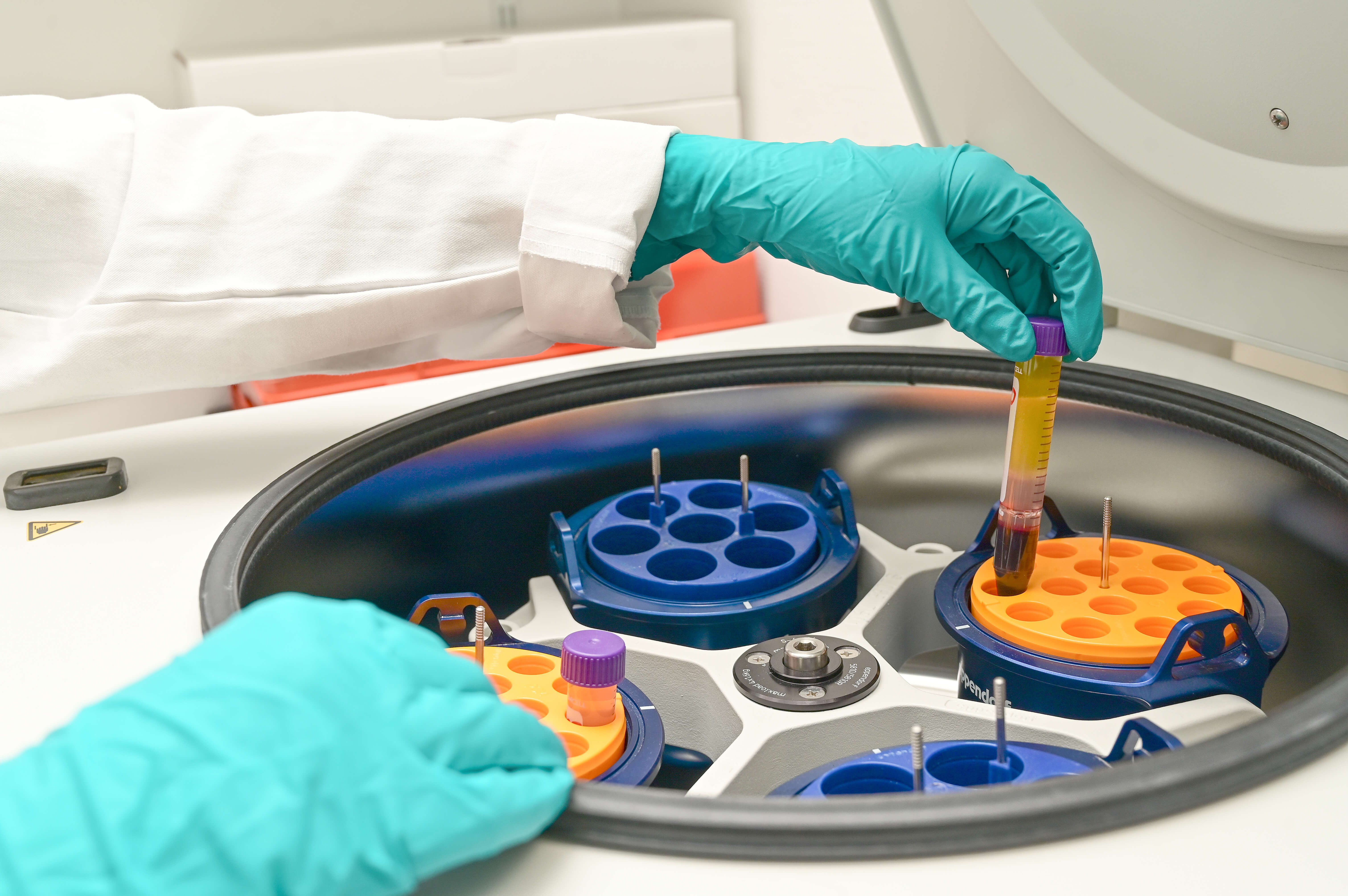 Heidelberg Cell and Liquid Biobank: Universitätsklinikum Heidelberg